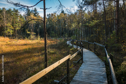 Wooden footbridge over the swamp in Celestynow, Masovia, Poland