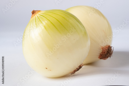 Onion put on a white background