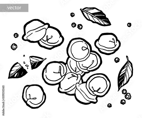 Dumplings . Bay leaf. Black pepper peas. Ink hand drawing. Food, vegetables and fruit isolated on white background. Book illustration, recipe, menu, magazine or journal article.
