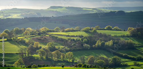 Welsh countryside, verdant trees and field.