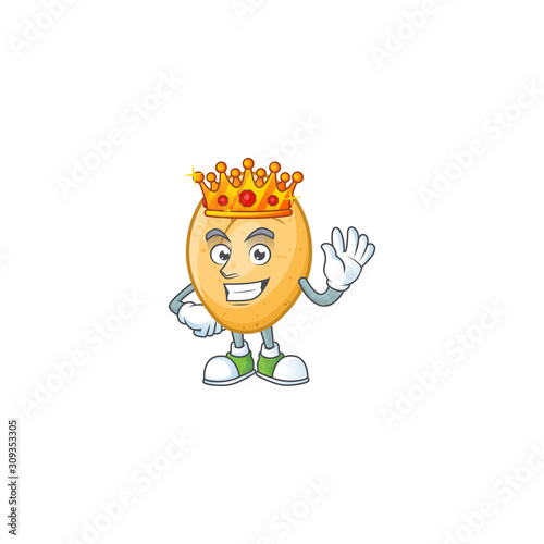 Cool King of potato on cartoon character style