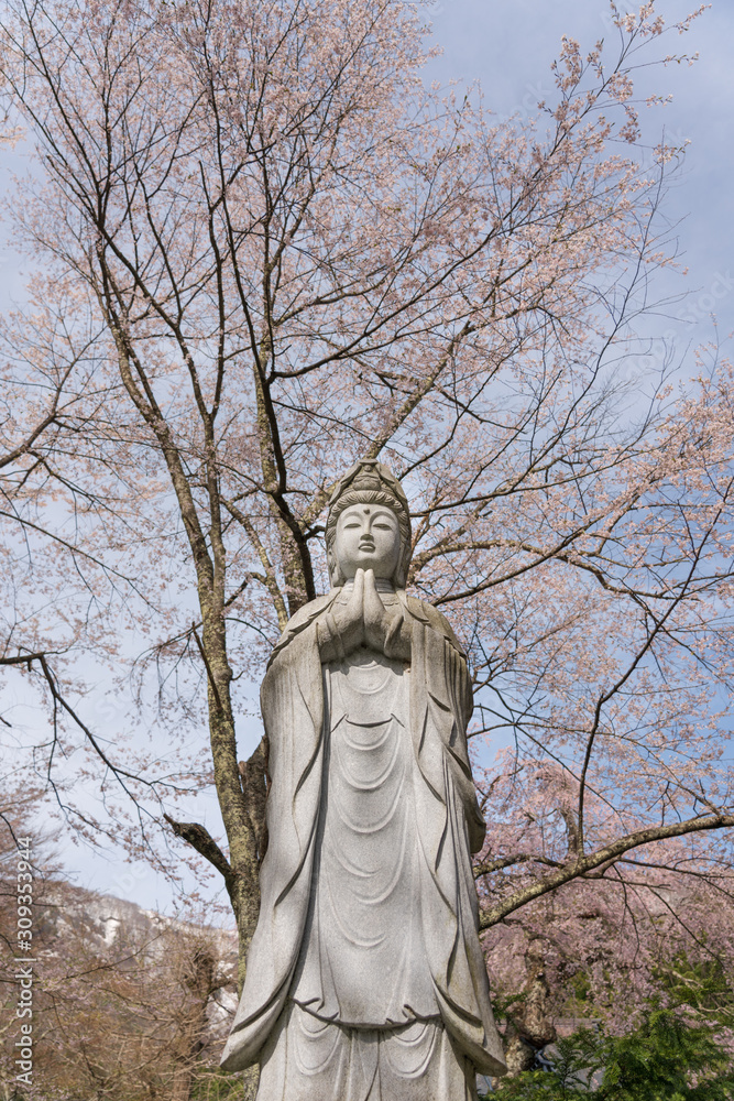 菩薩像と桜 菩薩像と桜