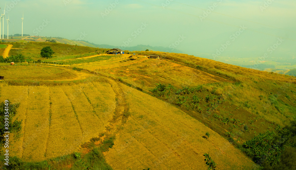 Fototapeta premium windmills in field on the mountains