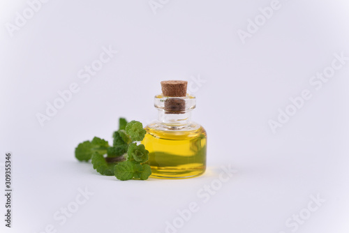mint oil in a small bottle close up