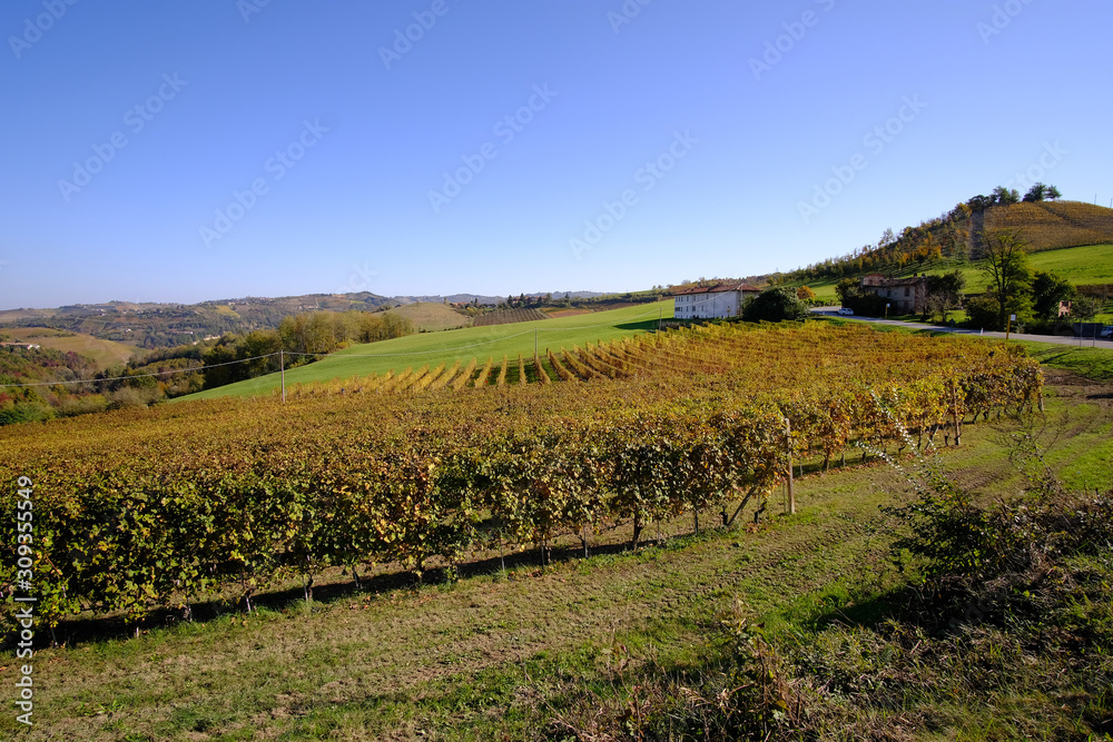 Obraz premium typical landscapes of the Piedmontese Langhe