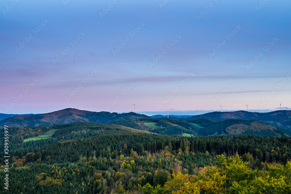 Germany, Aerial view above beautiful paradise like untouched natural black forest nature landscape, above tree tops at sunset in autumn