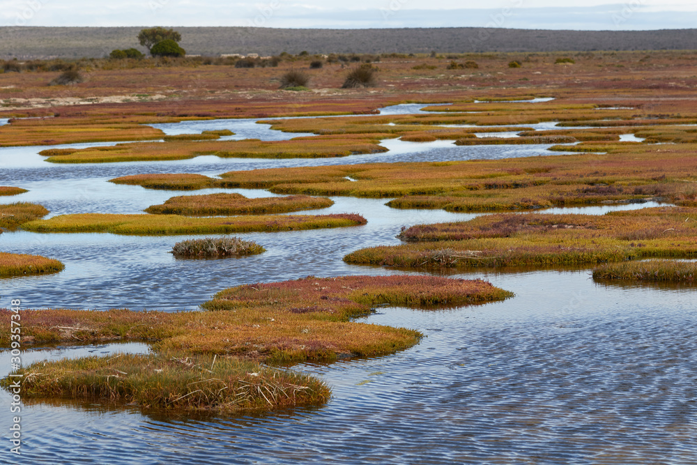 West Coast National Park of South Africa