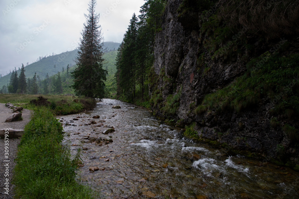 small brook in the valley of Koscielisko, Tatra Mountains, Poland small brook in the valley of Koscielisko, Tatra Mountains, Poland