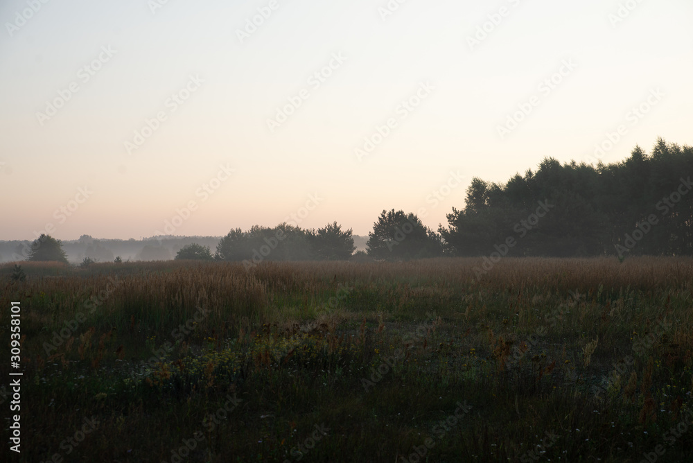  sunrise over a misty meadow in summer morning