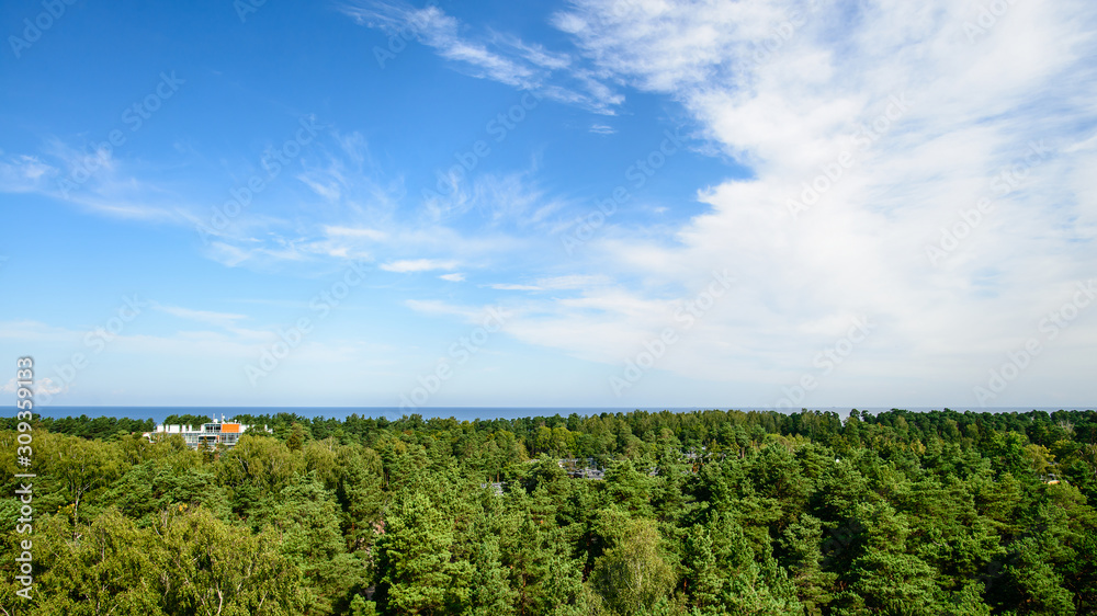 Beautiful view on Baltic sea and pine forest from the observation deck in Dzintari Park, Jurmala, Latvia