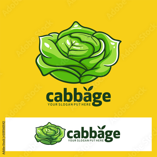 Cabbage Fruit Vector Graphic Logo