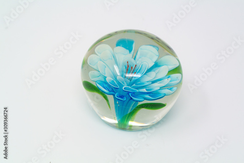 Photography paperweight with blue flower with white background