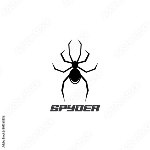 Spider Logo design vector illustration design template photo