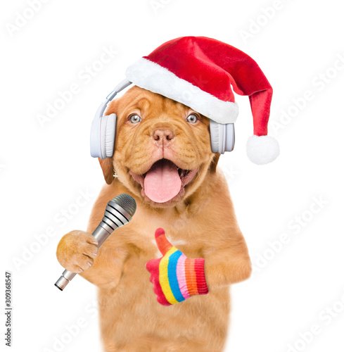 Happy puppy with headphones wearing a red santa hat holds microphone and shows thumbs up gesture. isolated on white background © Ermolaev Alexandr