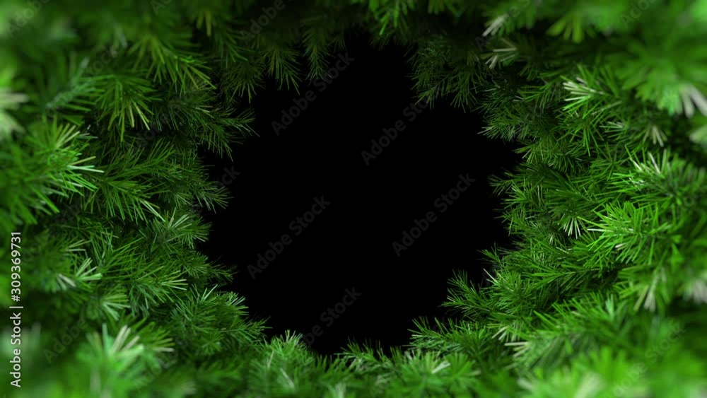 Spruce branch in motion around axis rotate on black background HD 1080
