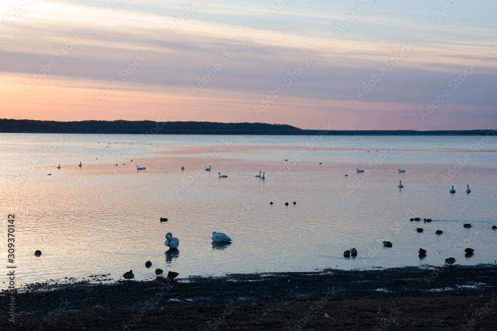夕暮れの湖 夕暮れの湖