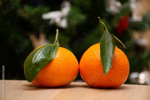 orange mandarin on christmas tree background 