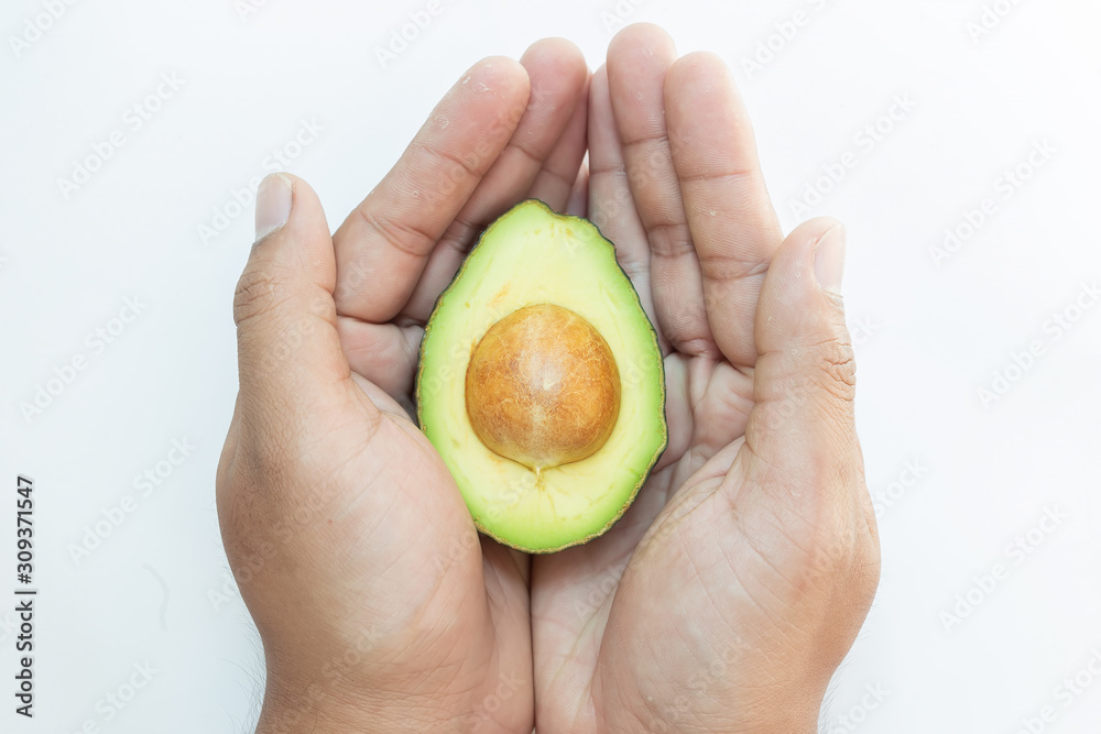 Hands holding an avocado on a white background.Healthy green fruit with hands. Hands holding an avocado on a white background.Healthy green fruit with hands.