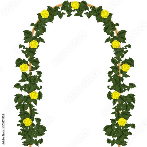 Solemn arch with yellow roses. Vector art