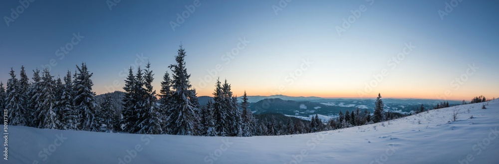 Fabulous snow-covered panorama of spruce trees Fabulous snow-covered panorama of spruce trees