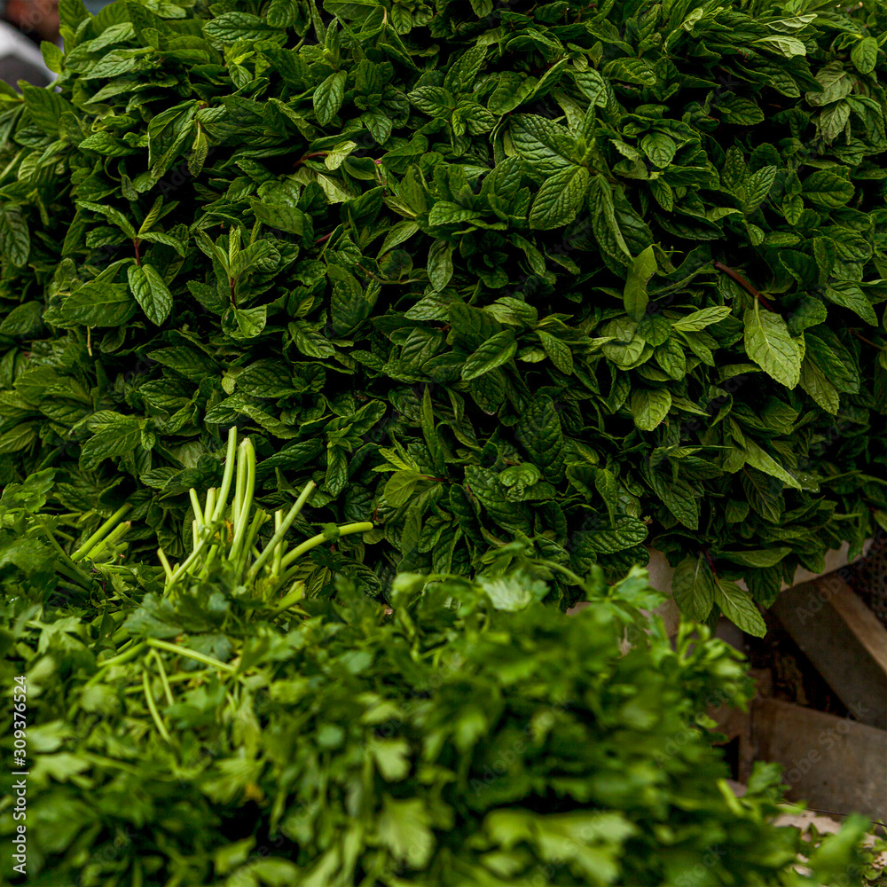 greens spices for cooking fresh and odorous dill onion parsley mint