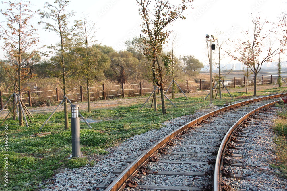 Fototapeta premium railway in forest