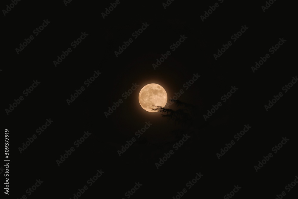 full moon in the sky full moon in the sky