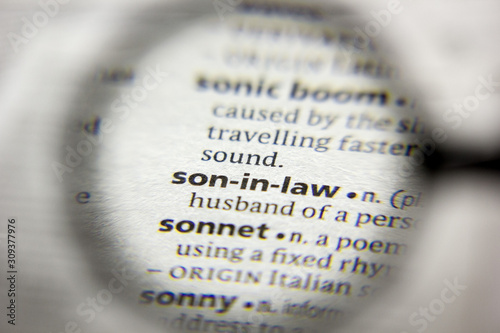 The word or phrase Son-in-law in a dictionary.