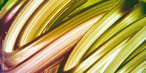 Abstract strokes of multicolored gouache on white paper for backgrounds