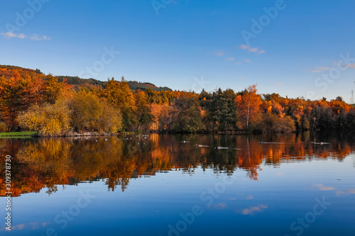 Automne light and Lake, Auvergne, France.