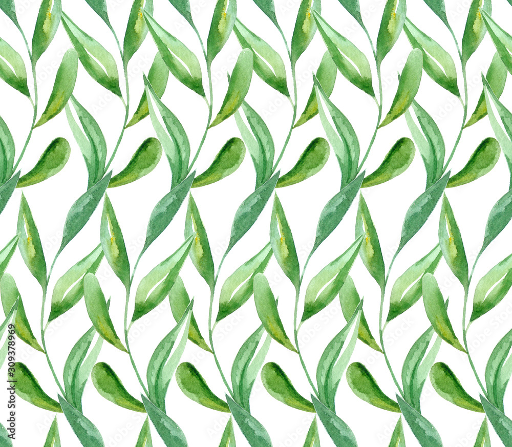 Fototapeta premium Floral Curly Pattern