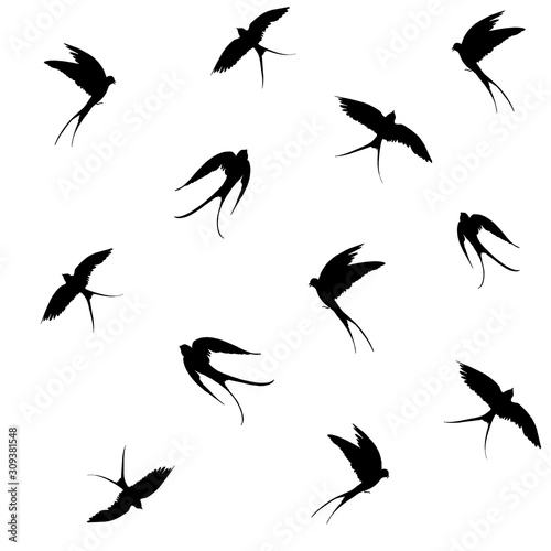 Seamless patterns with flying swallows. Vector shapes with transparent background.