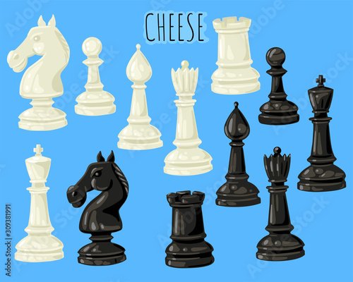 Set of chess pieces. Vector set of isolated objects on a background.