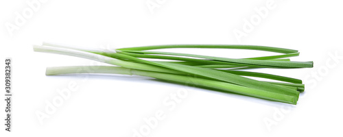 Garlic chives vegetable isolated on white background