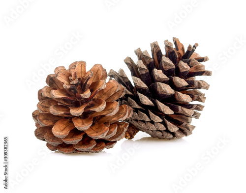 Brown pine cone isolated on white background christmas decoration