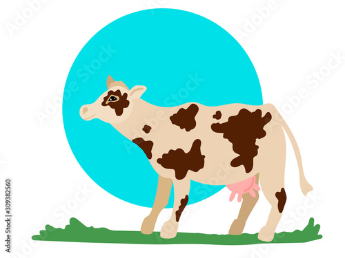 Cow, spotted color, grazing on the grass. Animal print. Vector illustration
