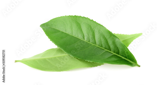 Green tea leaf isolated on white background