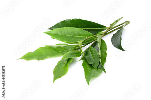 green tea leaf isolated on white background