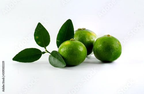 fresh green lime on white background © Santipong