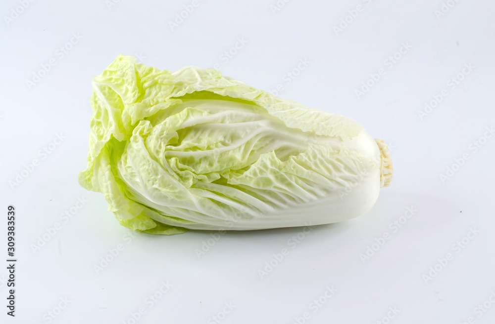 fresh Chinese Cabbage isolated on white background fresh Chinese Cabbage isolated on white background