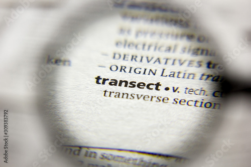 The word or phrase Transect in a dictionary. photo