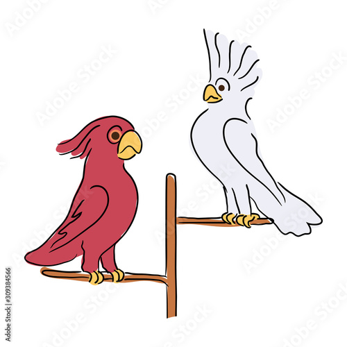 Two cute cockatoo parrots sitting on perch branch