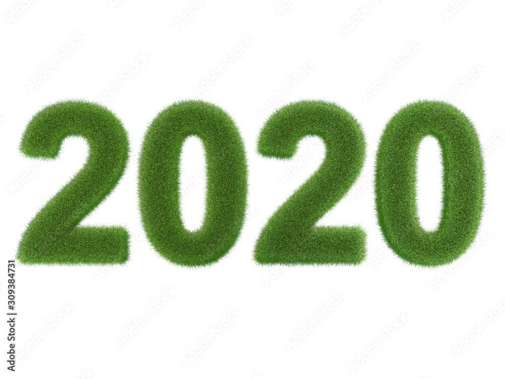 grünes Jahr 2020 aus Gras grünes Jahr 2020 aus Gras