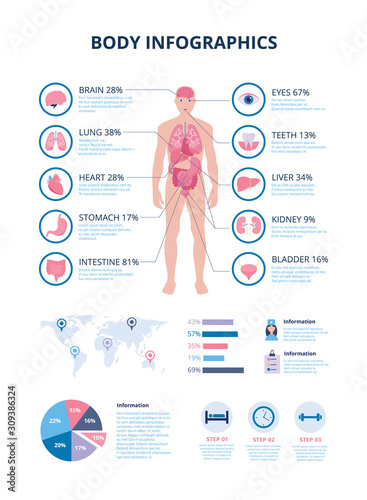Medical body infographic with internal organs icons vector illustration isolated.
