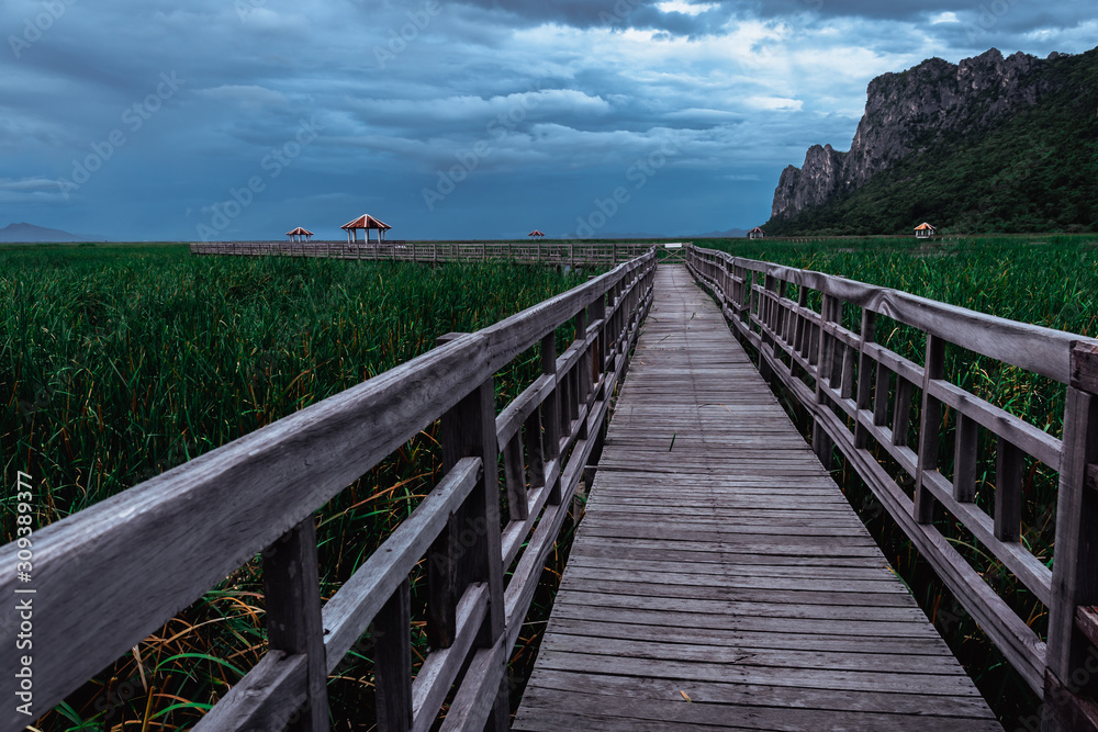 Wooden foot bridge leading into the lake with mountain and sky in background.