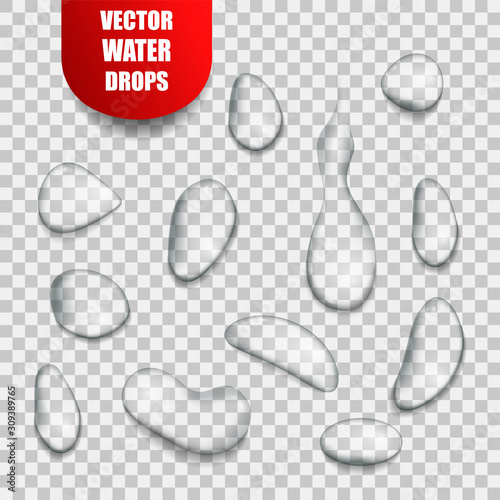 Vector realistic isolated water drops