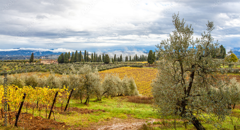 Tuscany Autumn Countryside Landscape in San Casciano in Val di Pesa
