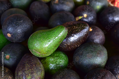 Avocado also refers to the Avocado tree's fruit, which is botanically a large berry containing a single seed. Avocados are very nutritious and contain a wide variety of nutrients. Selective focus