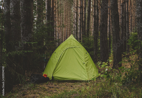 Tent in forest, tourism