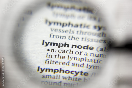 The word or phrase Lymph node in a dictionary.